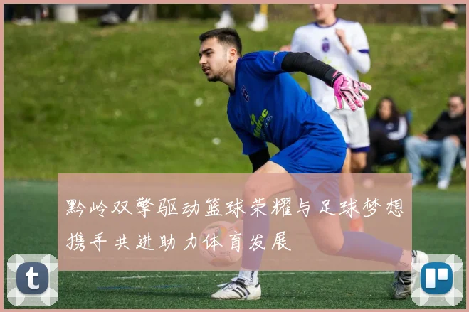 黔岭双擎驱动篮球荣耀与足球梦想携手共进助力体育发展