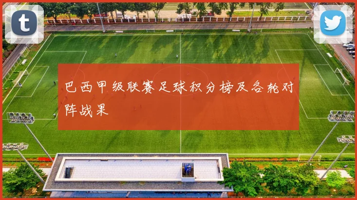 巴西甲级联赛足球积分榜及各轮对阵战果